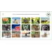 Wild Animals 