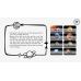 Lost in space Lesson 1 Vocabulary 