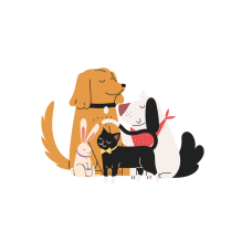 Secret Life Of Pets (Comparatives and superlatives)