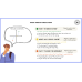 Clickbait and fake news (Modal Verbs)
