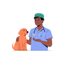 A Visit To The Vet (Body Parts)