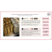 Luxury Brand Psychology (Speaking Lesson)
